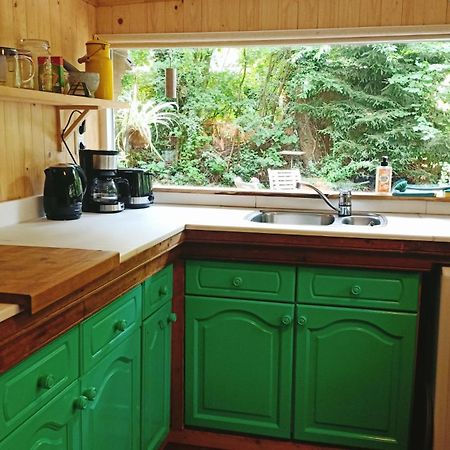 Het Houten Boshuisje Hattemerbroek Extérieur photo