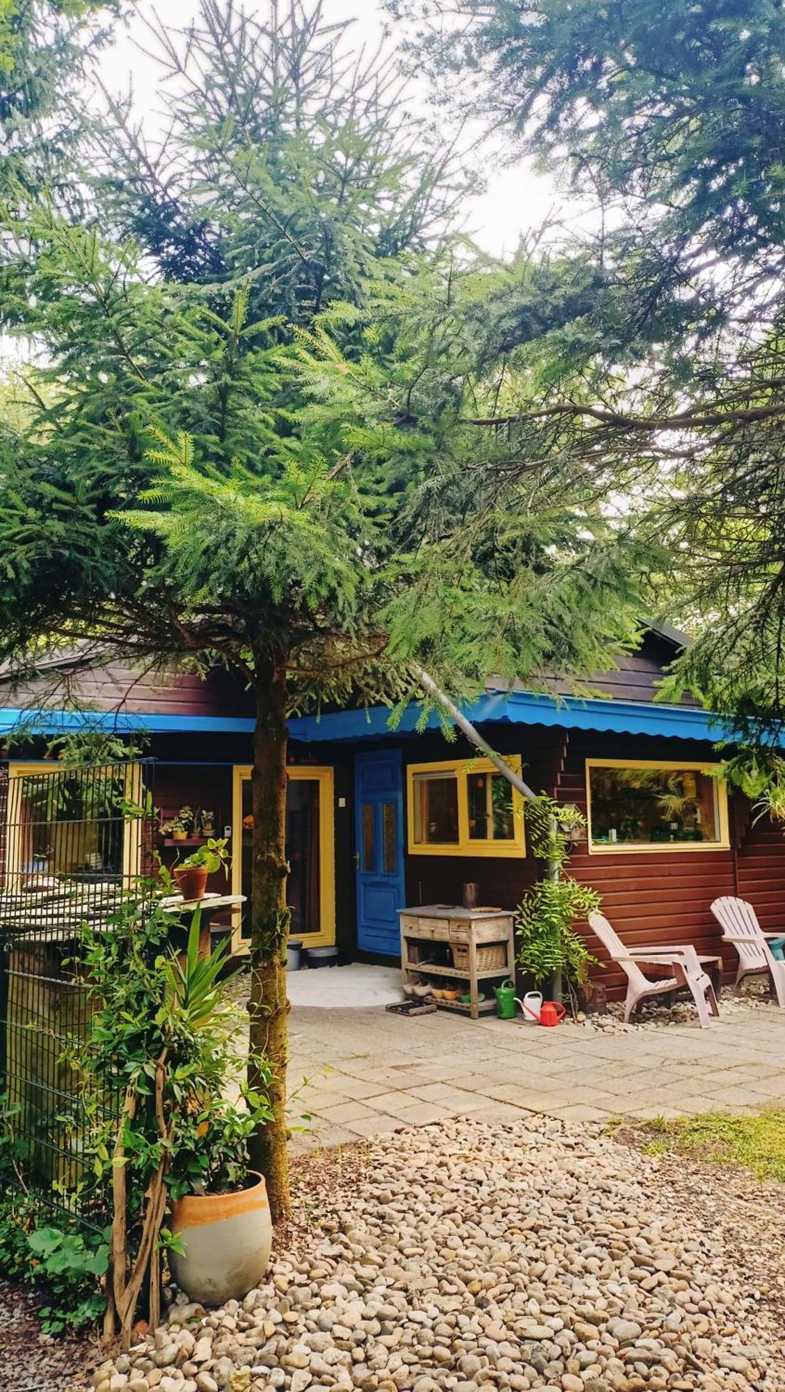 Het Houten Boshuisje Hattemerbroek Extérieur photo
