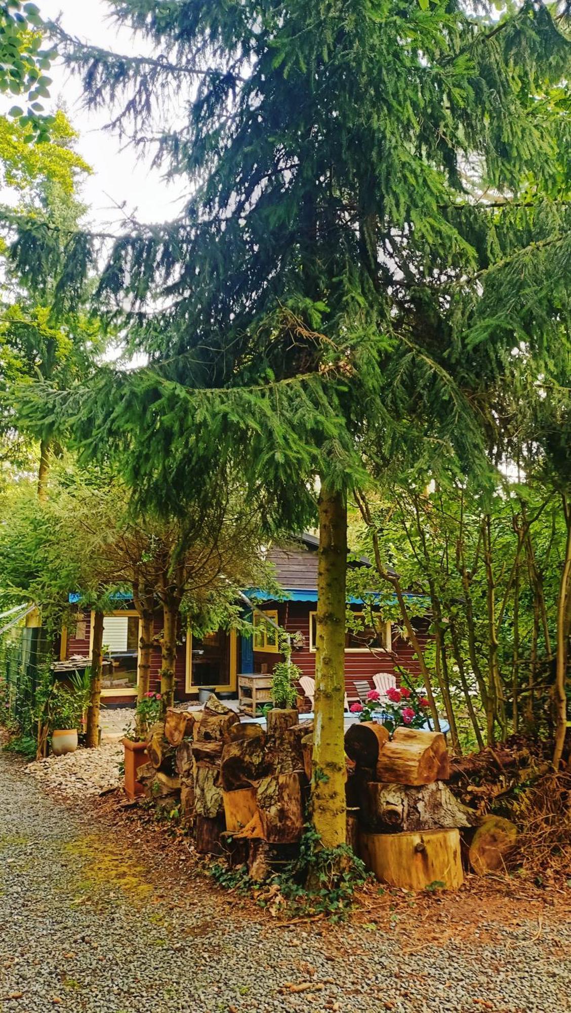Het Houten Boshuisje Hattemerbroek Extérieur photo